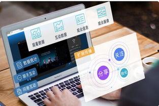 国际娱乐直播吗,国际视角下的互动盛宴