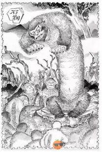 鬼猴图片,神秘生物的神秘面纱